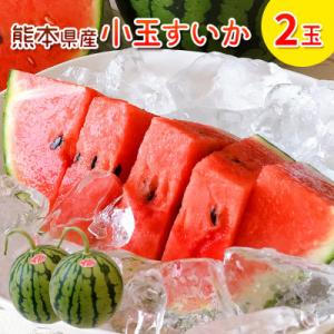 熊本県 和水町産　小玉スイカ 2玉