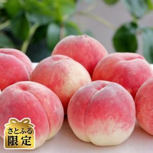 【さとふる限定】和歌山のブランド桃「あら川の桃」秀品 約4kg10玉～15玉光センサー選果