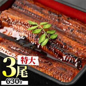 東串良町のうなぎ蒲焼(無頭) 3尾　計約630g・タレ、山椒付【0234303a】