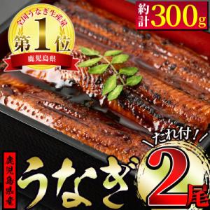 鹿児島県東串良町 うなぎ蒲焼(無頭) 2尾 計約300g、蒲焼のタレ・山椒2個付【11930】