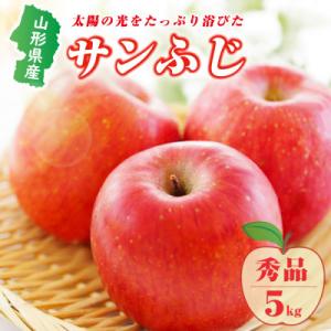 【先行受付(2026年度発送)】山形県産りんご(サンふじ)5kg(12-20玉前後)