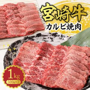 ふるさと納税 延岡市 史上初内閣総理大臣賞4連覇 宮崎牛 カルビ 焼肉 バーベキュー 1kg(500g×2パック)