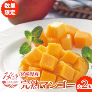 宮崎完熟マンゴー【大】2玉【宮崎市】(R8年4月上旬以降順次発送)
