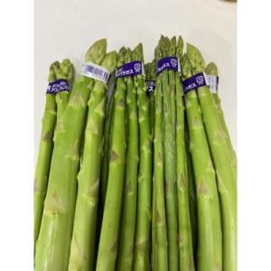 【夏芽】グリーンアスパラガス　サイズ混合約1kg