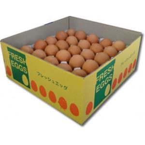 ふるさと納税 糸島市 てつやとのりこの玉子　50個