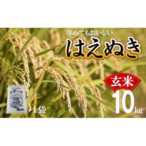 ふるさと納税 南陽市 はえぬき (玄米) 10kg×1袋【田口農園】【S1290】