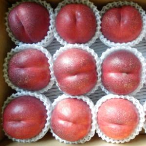 長野県中野市産スイートネクタリン　2kg(8～14玉)