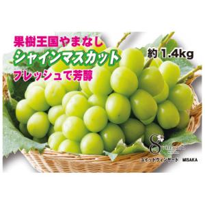 フレッシュで芳醇シャインマスカット2～3房(約1.4kg)