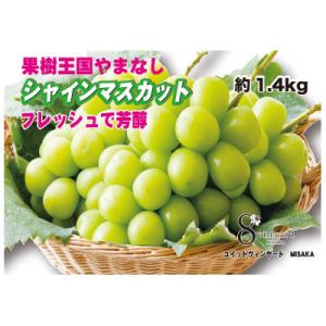 ふるさと納税 笛吹市 フレッシュで芳醇シャインマスカット2〜3房(約1.4kg)