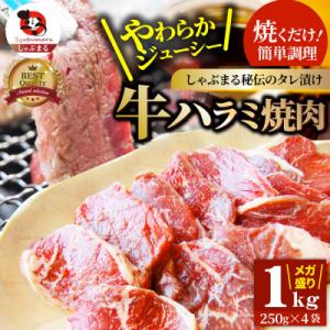 やわらか牛ハラミ焼肉 秘伝のタレ漬け1kg(250g×4P)