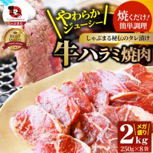 ふるさと納税 三木町 やわらか牛ハラミ焼肉 秘伝のタレ漬け2kg(250g×8P)