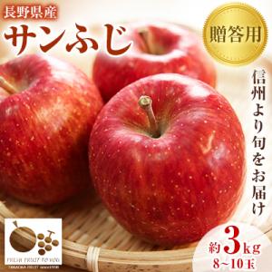 ~信州中野の旬をお届け~ サンふじ　贈答用　約3kg(8～10玉)【高丘フルーツ】