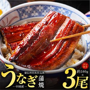 秘伝のたれ仕込み うなぎ蒲焼 (約160g×3尾)鰻 ウナギ 中国産 炭火焼き
