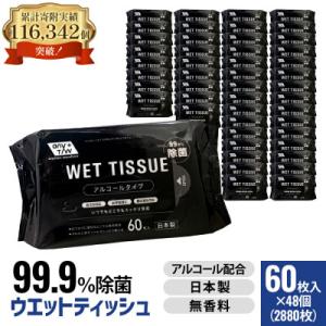 99.9% 除菌ウエットティッシュ 60枚入48個セット(2880枚)KA-01