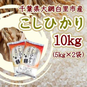 ふるさと納税 大網白里市 令和7年産千葉県産コシヒカリ 精米 10kg (5kg×2袋)