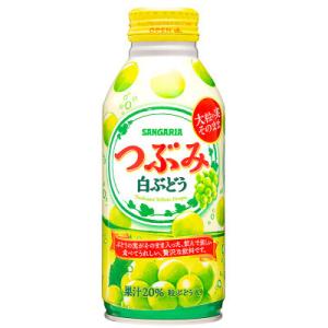 ふるさと納税 伊賀市 サンガリア つぶみ白ぶどう　380g×24本