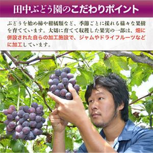 ふるさと納税 河内長野市 しっとり柿チップス6...の詳細画像3
