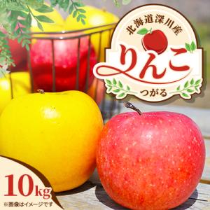 【令和8年産先行受付】北海道深川産りんご(つがる)10kg【ふるさと納税】