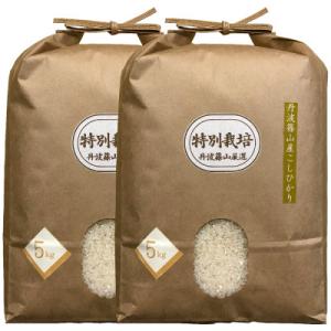 ふるさと納税 丹波篠山市 丹波篠山産特別栽培米コシヒカリ5kg×2