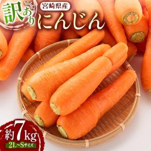 ふるさと納税 新富町 宮崎県産にんじん　約7kg