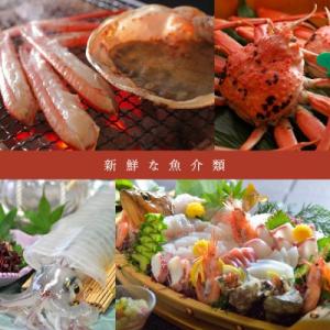 ふるさと納税 京丹後市 【京都・京丹後市観光公...の詳細画像3