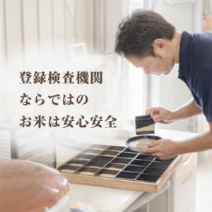 ふるさと納税 大網白里市 【令和7年産】2年連...の詳細画像3