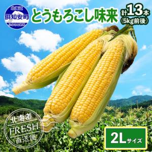 2026年 先行受付 北海道 倶知安 とうもろこし 味来(みらい) 2Lサイズ 5kg前後 産地直送