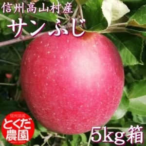 高山村産りんご(サンふじ)5kg箱