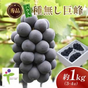 ふるさと納税 山梨市 ハウス種なし巨峰(3〜4房)/80