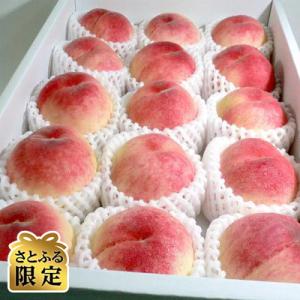 ふるさと納税 紀の川市 【さとふる限定】「紀の里の桃」光センサー選果 約4kg 10〜15玉(和歌山...