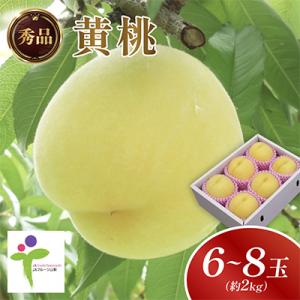ふるさと納税 山梨市 黄金桃(6〜8玉)/80