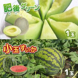 肥後グリーンメロン 1玉(約2kg)&小玉スイカ 1玉(約2kg)セット