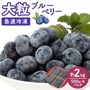 ふるさと納税 佐倉市 冷凍 ブルーベリー 2kg (500g×4パック)