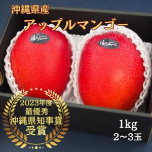 【2026年発送】令和5年沖縄県マンゴーコンテスト最優秀賞 縁'sファームのアップルマンゴー1kg
