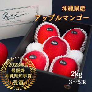 【2026年発送】令和5年沖縄県マンゴーコンテスト最優秀賞 縁'sファームのアップルマンゴー2kg