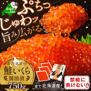 ふるさと納税 別海町 【禁輸に負けない!】北海道産 鮭 いくら 醤油漬け 750g 小分け 3パック...