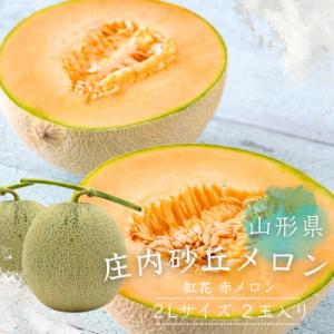 ふるさと納税 山形県 令和8年度発送 希少[庄内砂丘メロン]みちのく夏ギフト 紅花メロン(赤肉)秀2L 2玉