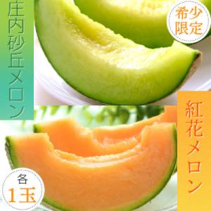 希少【庄内砂丘メロン】みちのく夏ギフト　紅花メロン(赤肉)とアンデスメロン(青肉)　令和8年度発送