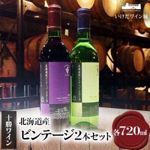 ふるさと納税 池田町 十勝ワイン 北海道産ビンテージ 2本セット