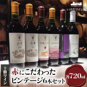 十勝ワイン 赤にこだわったビンテージ 6本セット