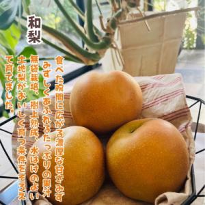 ふるさと納税 有田川町 【先行受付・2026年...の詳細画像2