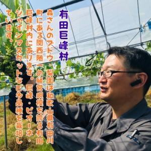 ふるさと納税 有田川町 【先行受付・2026年...の詳細画像3