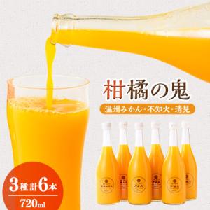 柑橘の鬼　みかんジュース2本、不知火ジュース2本　清見ジュース2本　6本セット【E56-30】