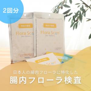 ふるさと納税 枚方市 【2回受検セット】腸内フローラ検査サービス「Flora Scan」