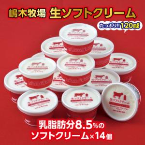 〈嶋木牧場〉牧場の生ソフトクリーム 120ml×14個 スイーツ 十勝アイスクリーム詰め合わせセット