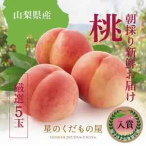 ふるさと納税 笛吹市 【2026年発送】星のくだもの屋　山梨県産「厳選桃」5玉(1.5kg以上)