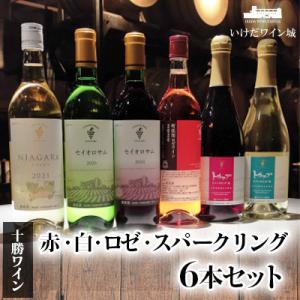 十勝ワイン 赤・白・ロゼ・スパークリング 計6本セット