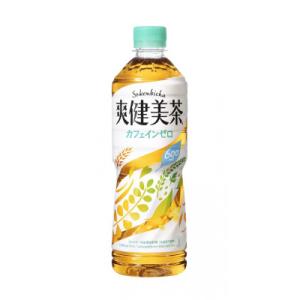 ふるさと納税 海南市 コカ・コーラの爽健美茶　600ml×24本　【1ケース】