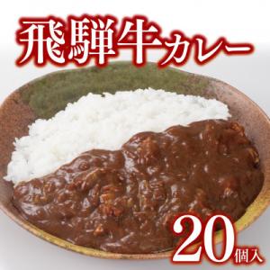 飛騨牛カレー20個セット(200g×20食)冷凍食品　レトルトカレー
