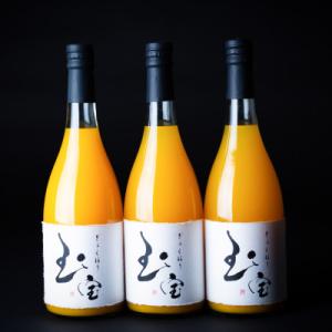 【無添加】玉宝みかんジュース(720ml×3本)【C64-5】